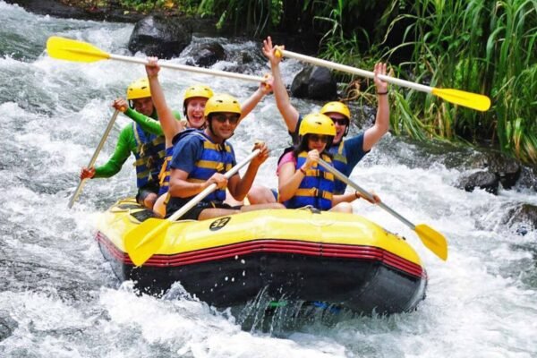 Bali Fun Rafting Experience with Scenic Jungle Views