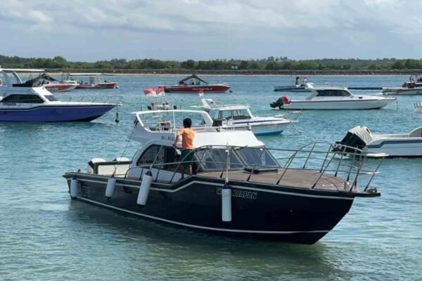 Private Boat Charter: Ultimate Bali Island Nusa Penida Boat Experience