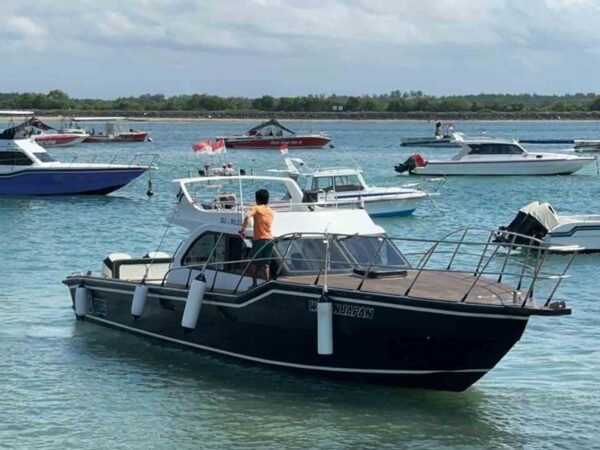 Private Boat Charter: Ultimate Bali Island Nusa Penida Boat Experience