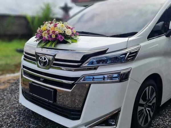 Luxury Toyota Alphard Rental in Bali: Premium Driver Service